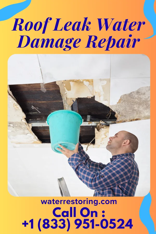 Roof Leak Water Damage Repair in Attica, KS